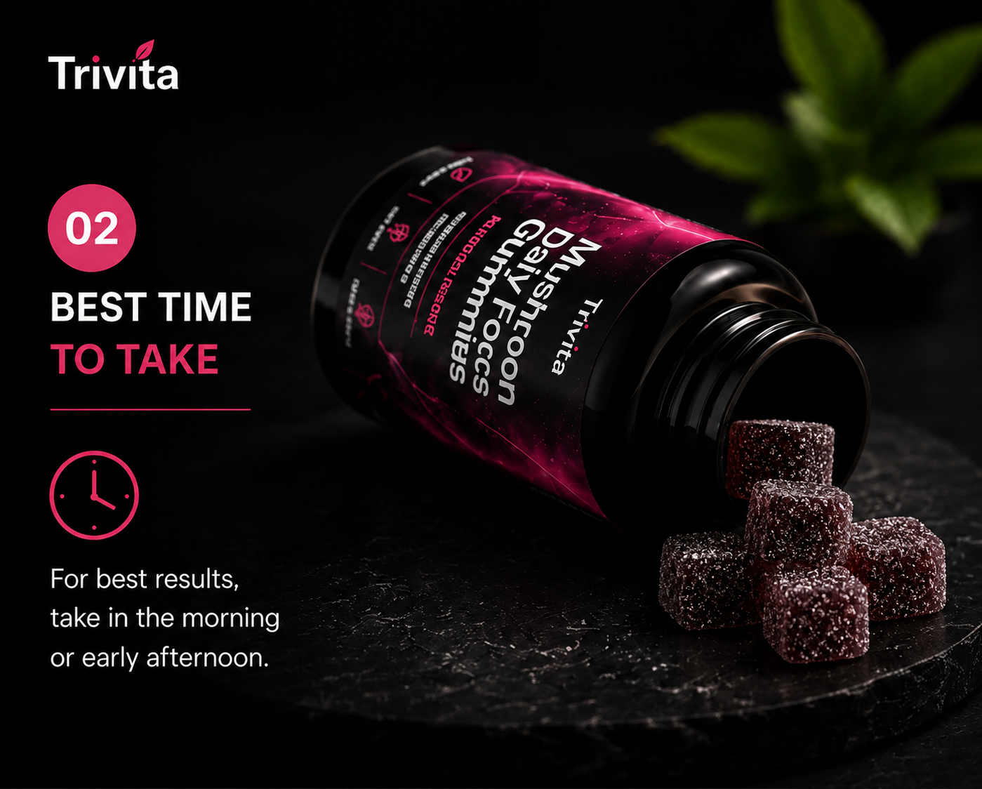 TRIVITA Step 2 guide